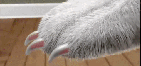 LIMA DE UÑAS RECARGABLE PARA MASCOTAS PAWY